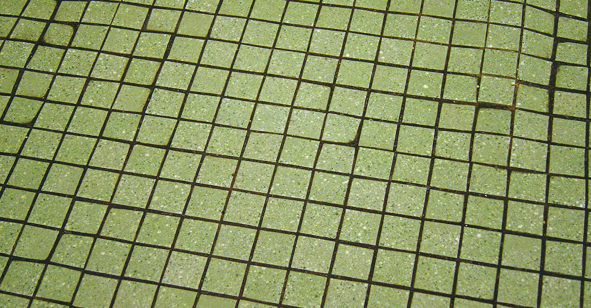 How To Clean Ceramic Tile And Grout Cleaning Maintenance